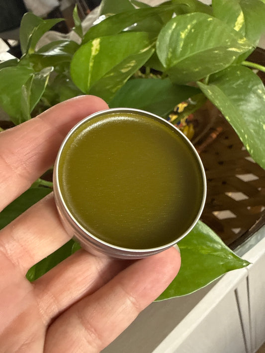 Comfrey Salve (Unscented)